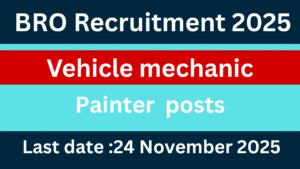 BRO Recruitment 2025